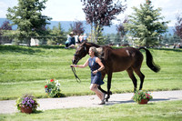 Rebecca Braitling and Laguna Seca,CCI2*-Long