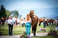 Hayes, Pip, So Cool, CCI2*-L