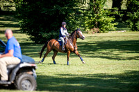 Kearley_Anne_riding_Carlingford's_Srs_Imperial_Training_Rider_Championship
