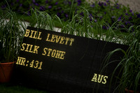 431, AUS, Levett, Bill, Silk Stone