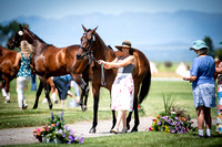 Robinson, Katherine, Teki to the Limit, CCI2*-L